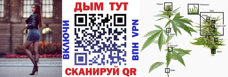 Купить наркоту Куса ГАШИШ  Кокаин  APVP  Конопля  Меф мяу мяу 