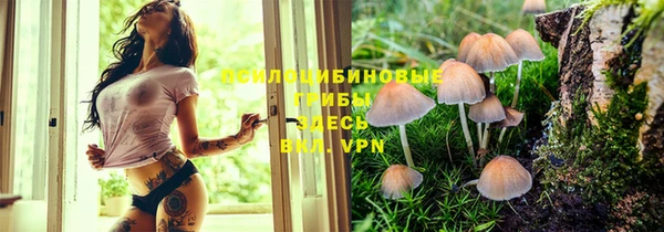 MDMA Premium VHQ Алзамай