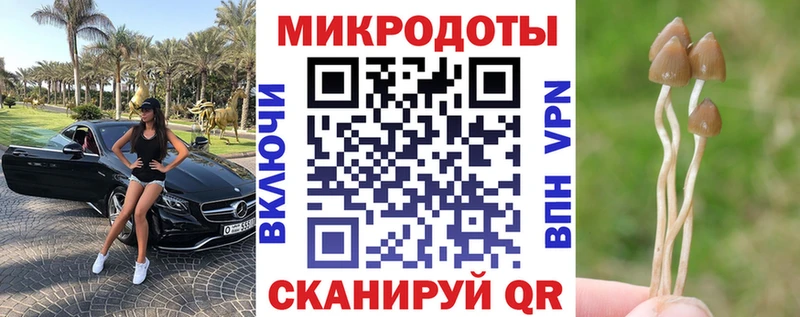 гидра ССЫЛКА  Куса  Псилоцибиновые грибы MAGIC MUSHROOMS 