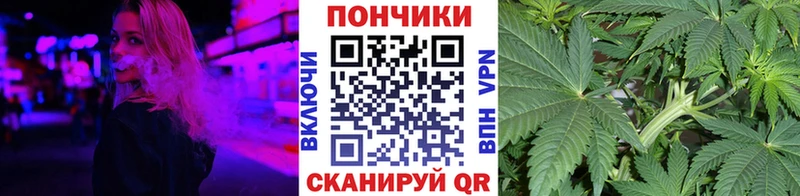 где купить наркотик  Куса  Конопля Amnesia 